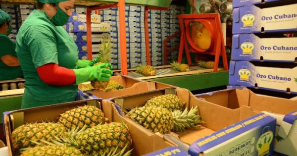 f0184771.jpg (76.16 KB)