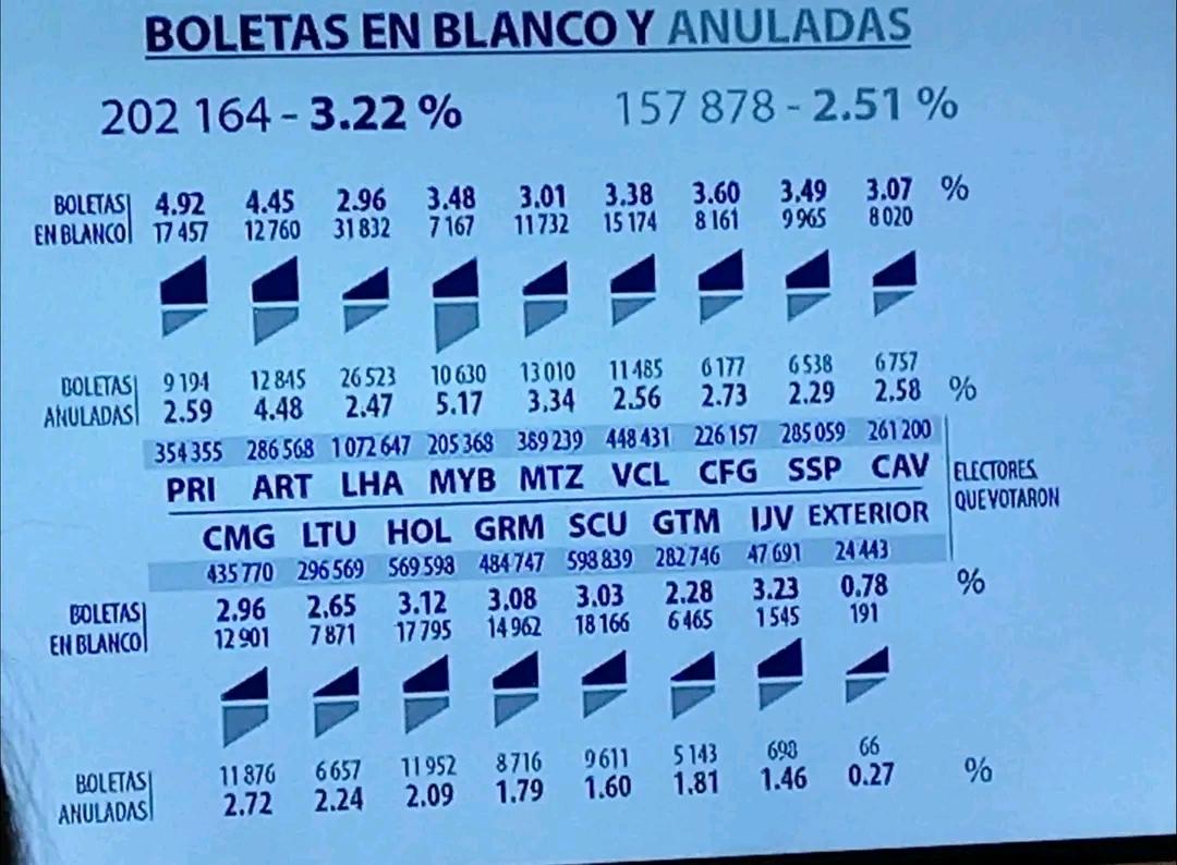Boletas en blanco y anuladas