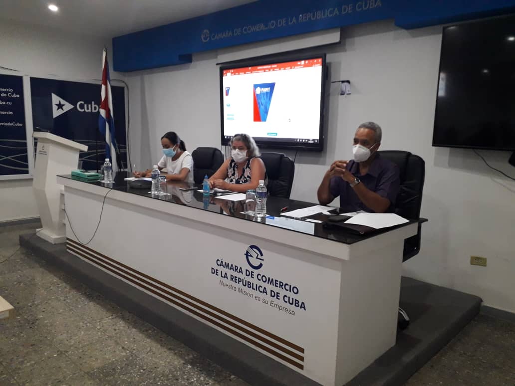 videoconferencia PDL