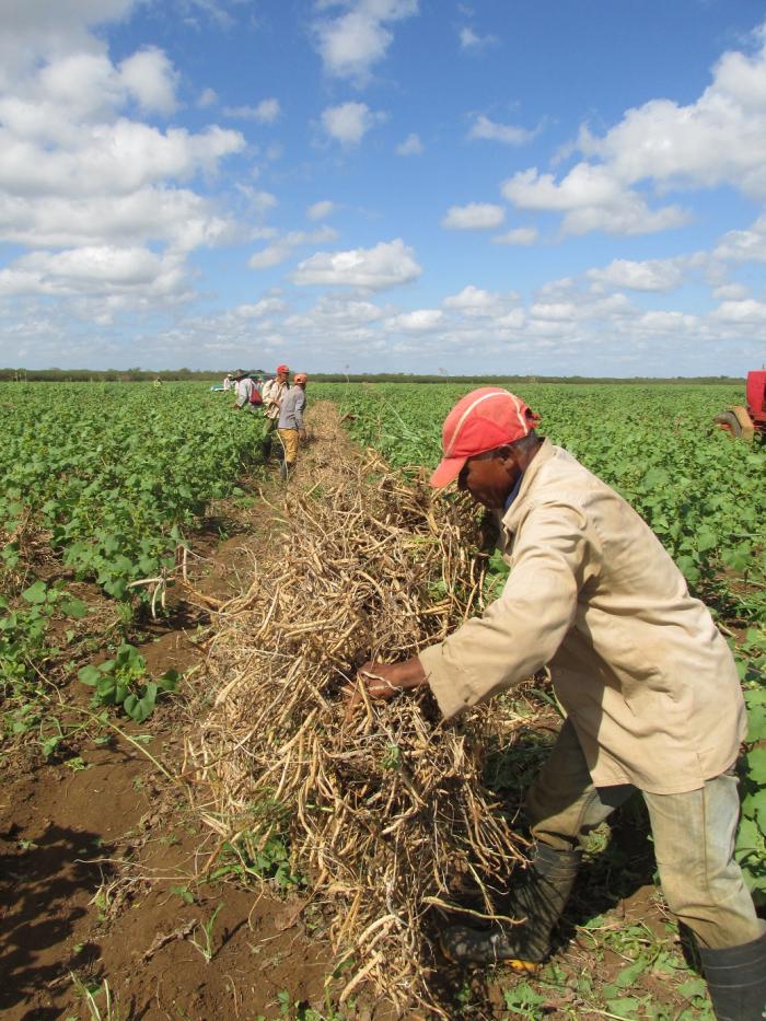 Consejo de Ministros