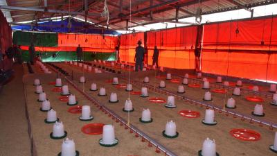 (Foto:Estudios Revolución)