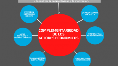ACTORES ECONÓMICOS