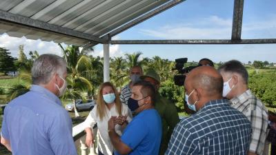 Contingente Las Marianas Foto: Estudios Revolución 