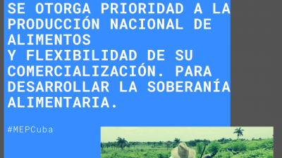 Producción de alimentos 