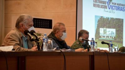  ER_09_REUNION_PINAR_DEL_RIO_eCM4IPF_display.jpg (423.25 KB)