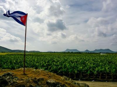 Anuncia FAO decisión de apoyar a Cuba en producción de semillas