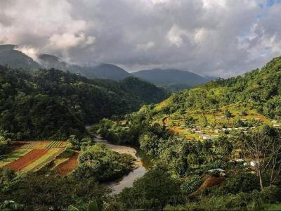 dia internacional del medio ambiente
