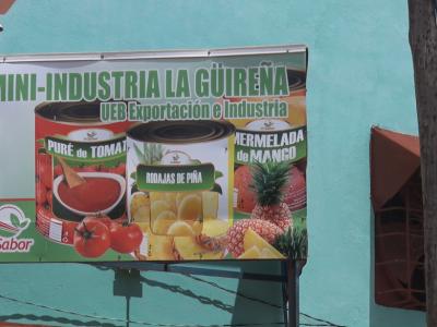 autoabastecimiento local