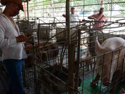 INVERSIÓN EXTRANJERA