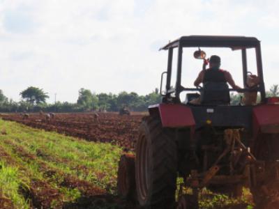 2305-artemisa-1_0.jpg (161.76 KB)