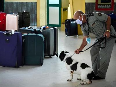 luchas Antidrogas en Cuba