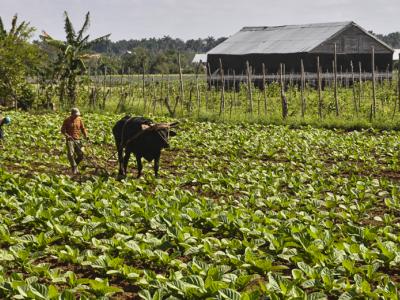 resolución exonerando de aranceles importación de varios productos