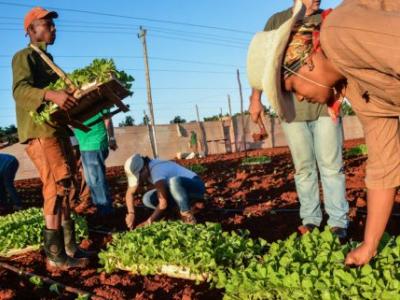 Autonomía municipal en Cuba 