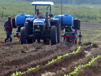 Agricultura, cosecha