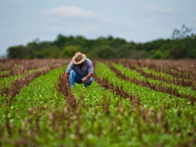 agricultura; cuba;