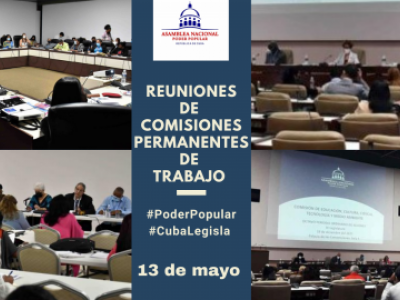 Comisiones ANPP 130522