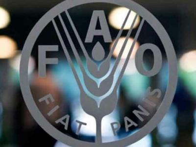 Cuba,FAO