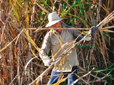 PRECIOS MAYORISTAS;TECNOAZÚCAR;GACETA OFICIAL