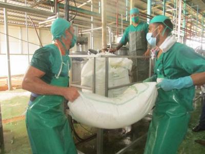 CUBA;ACTORES ECONÓMICOS;ECONOMÍA