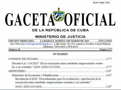 Disposiciones normativas para la asociación entre entidades empresariales estatales y no estatales