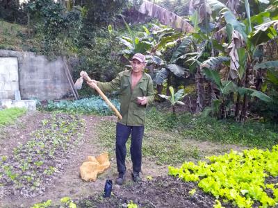 Luis-Garcia-productor-platano-cafe-minas-de-matahambre.jpg (175.49 KB