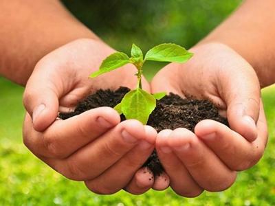 modelos agroecológicos sostenibles