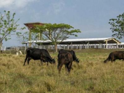 soberanía alimentaria