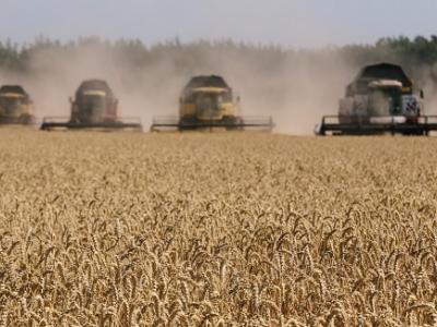 alzas en precios mundiales de alimentos