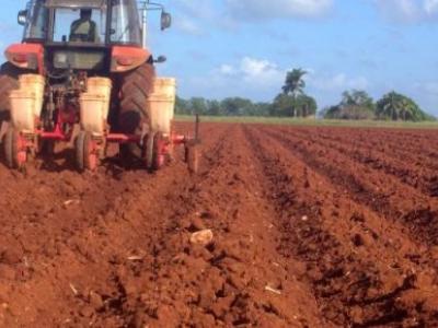 agricultura