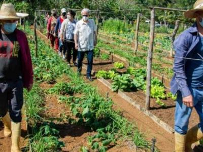 CUBA;Plan Nacional de Soberanía Alimentaria y Educación Nutricional