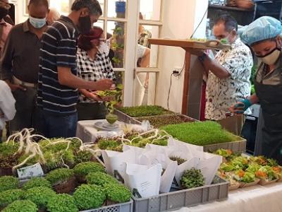 CUBA; ECONOMÍA;ACTORES ECONÓMICOS;MEP