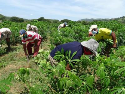 Kit de herramientas para la gestión del desarrollo territorial