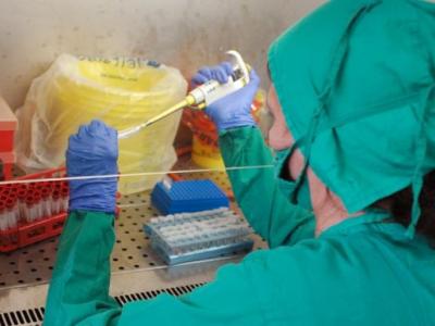 Enfrentamiento al oropouche: una nueva etapa para la ciencia cubana o la demostración de su pertinencia