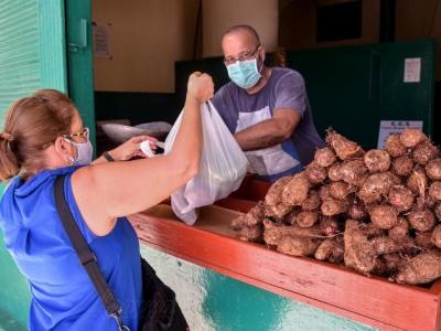 Cuba,Tarea Ordenamiento,Producción Agropecuaria
