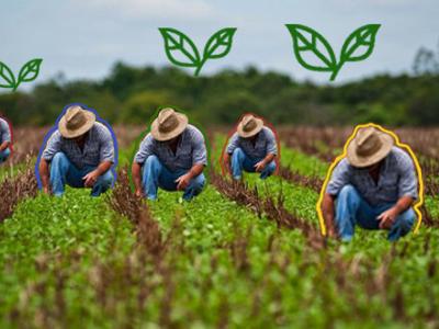 CUBA;ECONOMÍA;MINISTERIO DE LA AGRICULTURA
