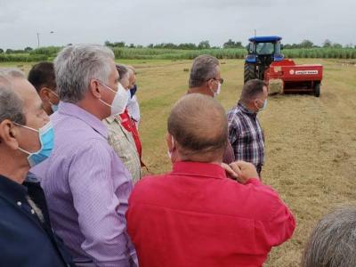 visita gubernamental