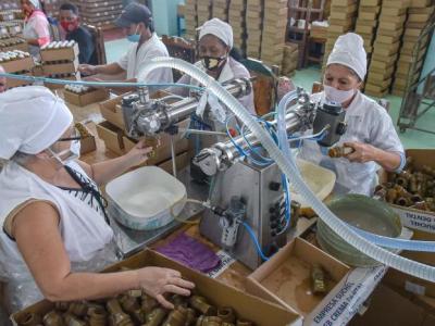 Estrategia económico-social; Socialismo