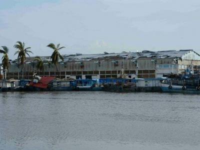 afectaciones económicas huracan Ian