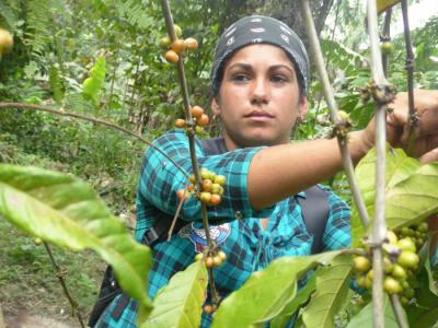 f0180535.jpg (78.04 KB)