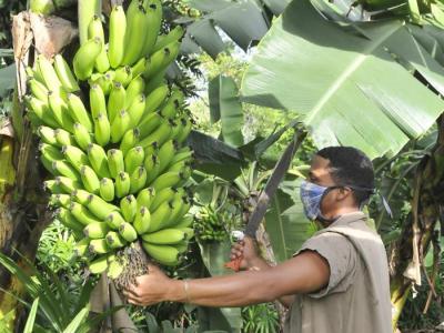 Estrategia Económica y Social