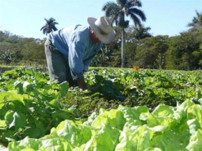 f0186655.jpg (39.23 KB)