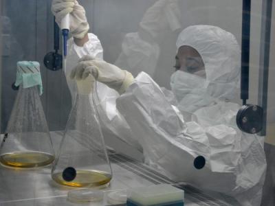 f0187361.jpg (44.94 KB)