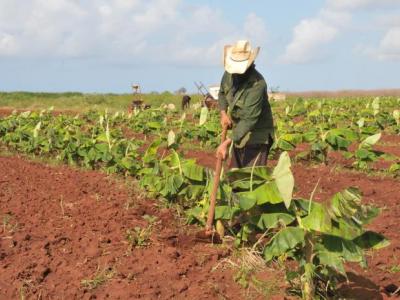  f0192693.jpg (66.74 KB)