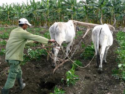  f0193293.jpg (94.03 KB) 