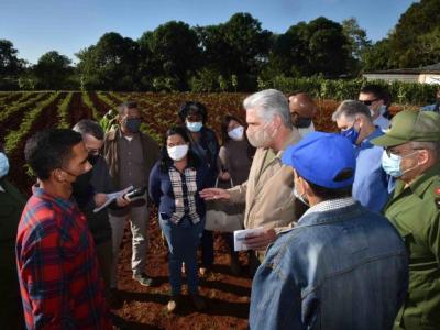  f0194833.jpg (62.8 KB) 