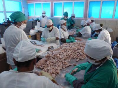  f0196319.jpg (57.25 KB) 