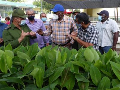  f0196559.jpg (70.12 KB) 