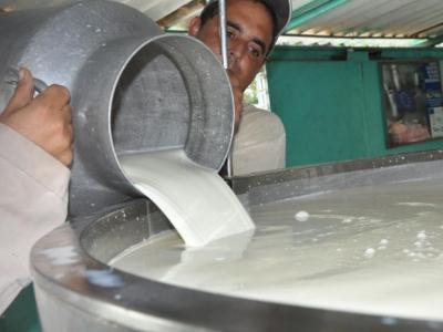  f0197517.jpg (36.95 KB) 