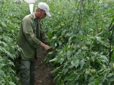 autoabastecimiento municipal