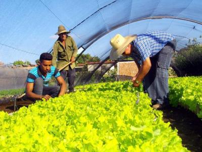 soberania alimentario
